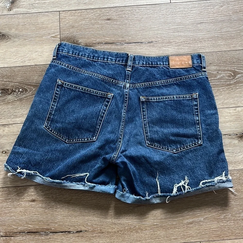 Everlane The Short Denim Jean Shorts